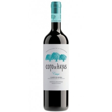 coto de Hayas Crianza 5 LITROS