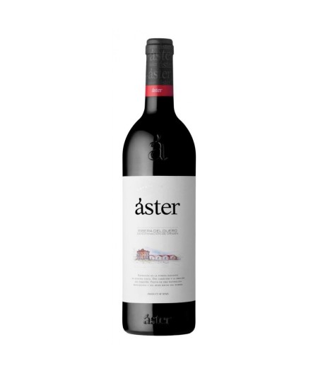 Aster Crianza