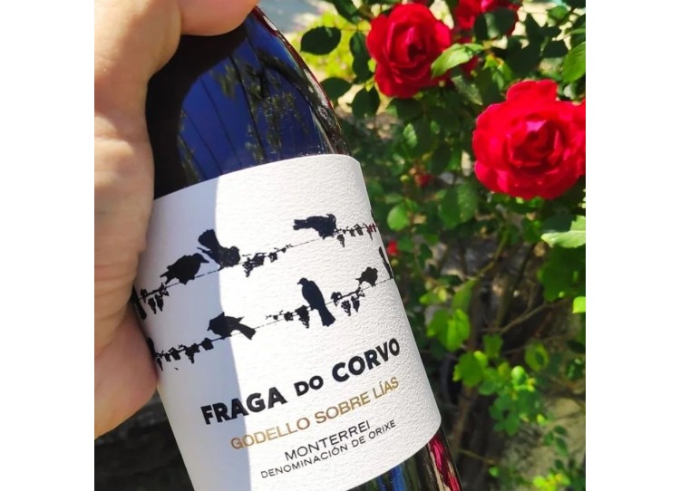 Vino criado sobre lías ¿Qué significa? Vino criado sobre lías ¿Qué significa?